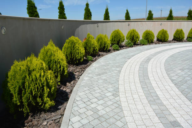 Best Custom Driveway Pavers  in Rosemead, CA